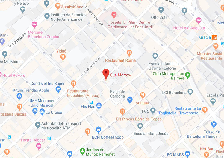 Google MAPS